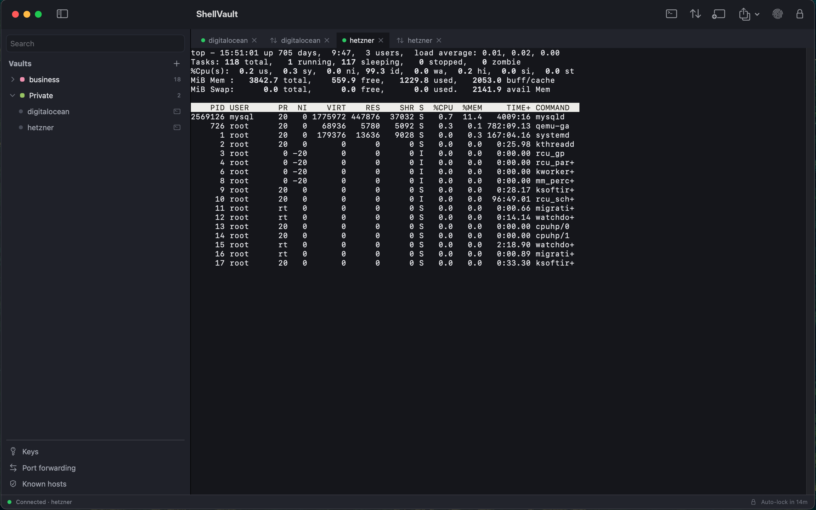 ShellVault terminal with tabs and a theme
